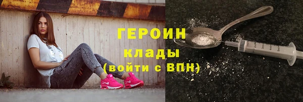 хмурый Ельня