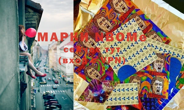 хмурый Ельня