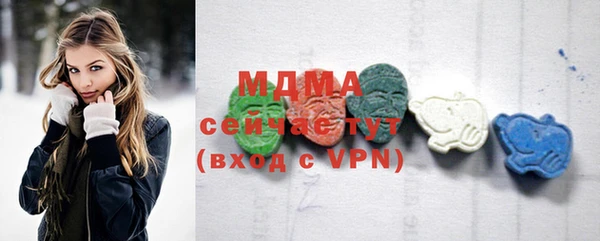 хмурый Ельня
