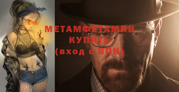 хмурый Ельня
