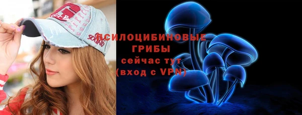 хмурый Ельня