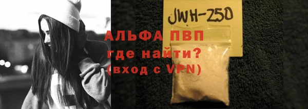 хмурый Ельня