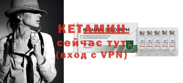 хмурый Ельня