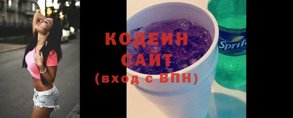 тгк Дмитриев
