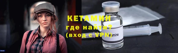 хмурый Ельня
