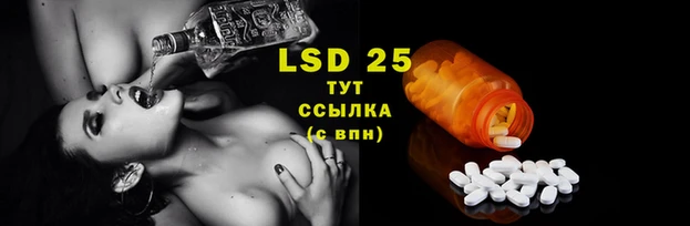 хмурый Ельня