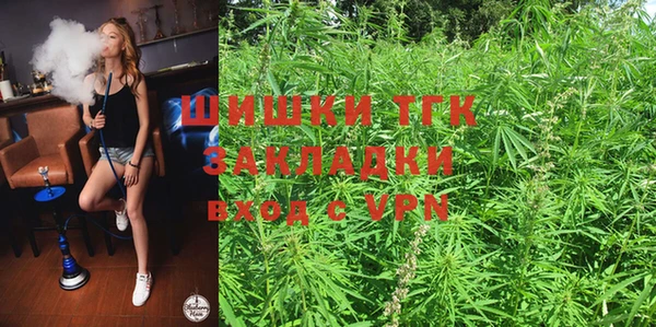 твердый Елизово