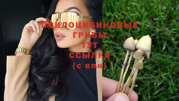 твердый Елизово