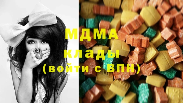 тгк Дмитриев