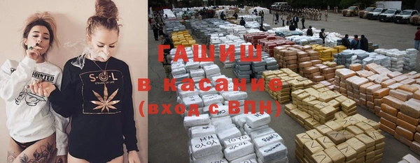 хмурый Ельня
