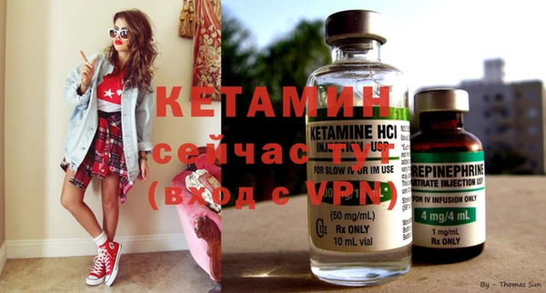 хмурый Ельня