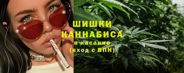 хмурый Ельня