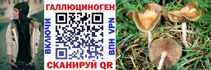 Псилоцибиновые грибы Cubensis  Купить закладки  Западная Двина 