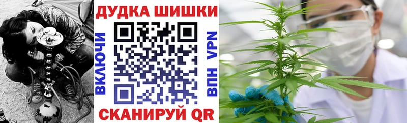 Бошки марихуана план  Купить закладки  Западная Двина 